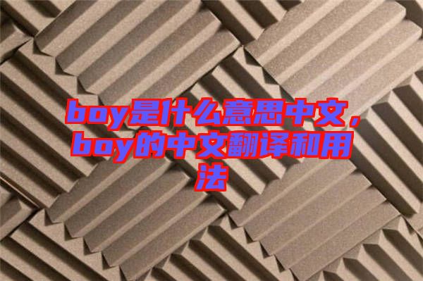 boy是什么意思中文，boy的中文翻譯和用法