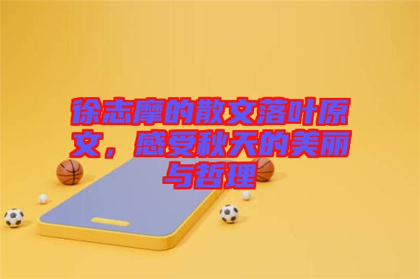 徐志摩的散文落葉原文，感受秋天的美麗與哲理