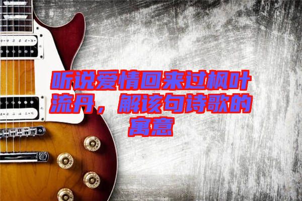 聽說愛情回來過楓葉流丹，解該句詩歌的寓意