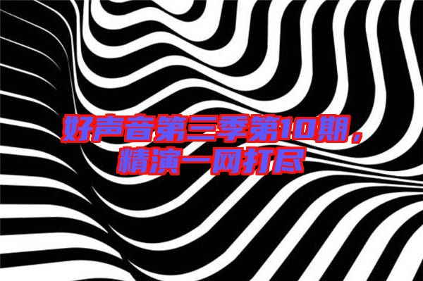 好聲音第三季第10期，精演一網打盡