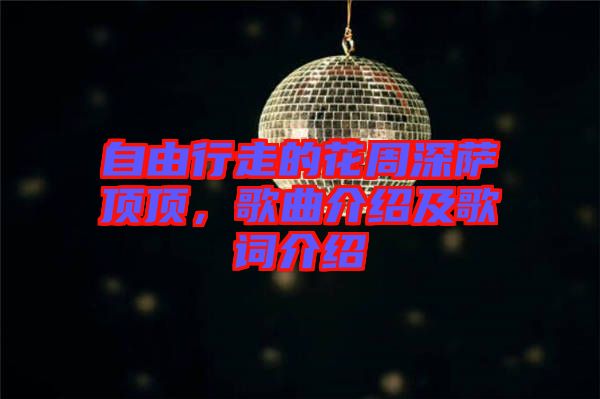 自由行走的花周深薩頂頂，歌曲介紹及歌詞介紹