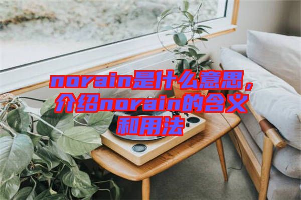 norain是什么意思，介紹norain的含義和用法