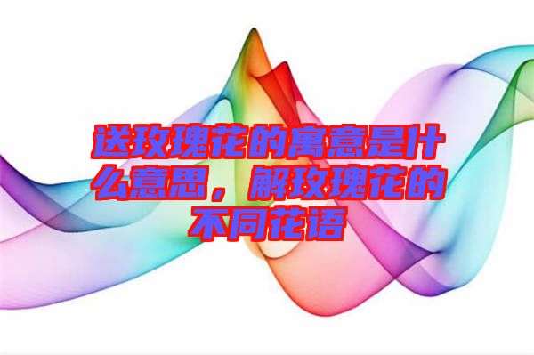 送玫瑰花的寓意是什么意思，解玫瑰花的不同花語