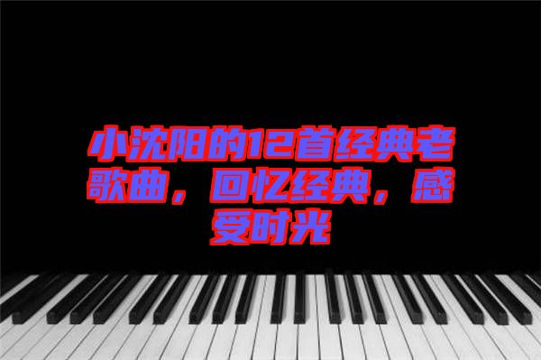 小沈陽的12首經典老歌曲，回憶經典，感受時光