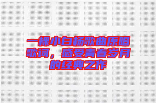 一棵小白楊歌曲原唱歌詞，感受青春歲月的經典之作