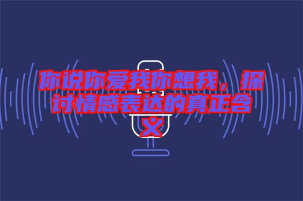 你說你愛我你想我，探討情感表達的真正含義