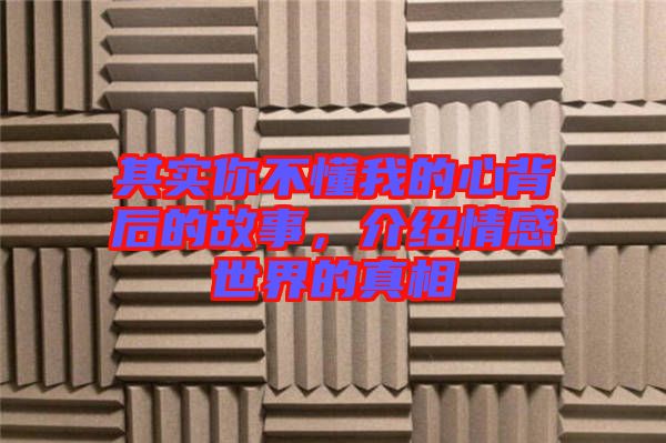 其實你不懂我的心背后的故事，介紹情感世界的真相