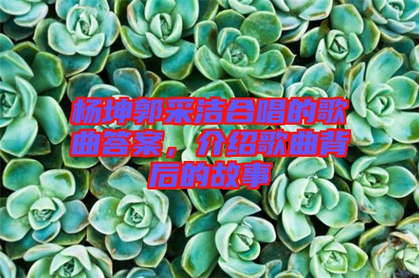 楊坤郭采潔合唱的歌曲答案，介紹歌曲背后的故事