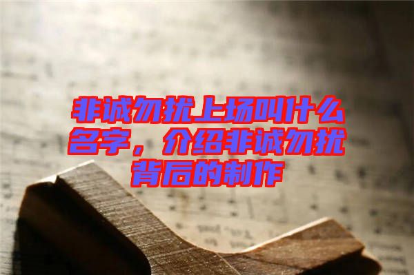 非誠勿擾上場叫什么名字，介紹非誠勿擾背后的制作