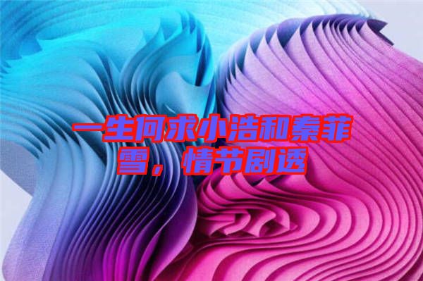 一生何求小浩和秦菲雪，情節劇透