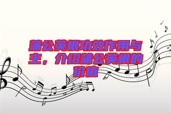 蒲公英根功效作用與主，介紹蒲公英根的價值
