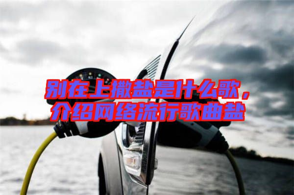 別在上撒鹽是什么歌，介紹網(wǎng)絡(luò)流行歌曲鹽