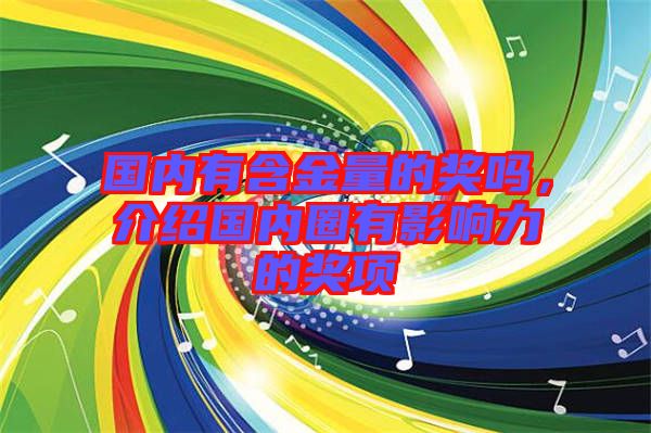 國內有含金量的獎嗎，介紹國內圈有影響力的獎項