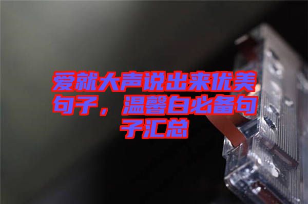 愛就大聲說出來優(yōu)美句子，溫馨白必備句子匯總