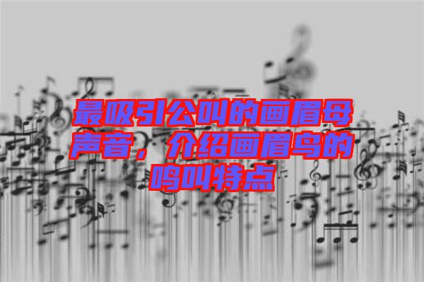 最吸引公叫的畫眉母聲音，介紹畫眉鳥的鳴叫特點(diǎn)