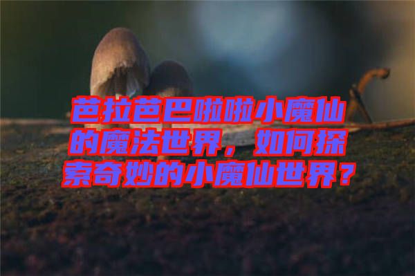 芭拉芭巴啦啦小魔仙的魔法世界，如何探索奇妙的小魔仙世界？