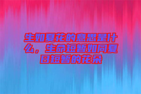 生如夏花的意思是什么，生命短暫如同夏日短暫的花朵
