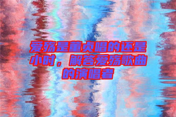 愛殤是董貞唱的還是小時，解答愛殤歌曲的演唱者