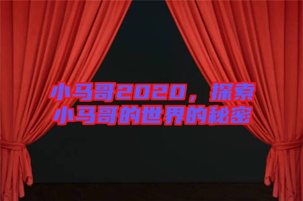 小馬哥2020，探索小馬哥的世界的秘密
