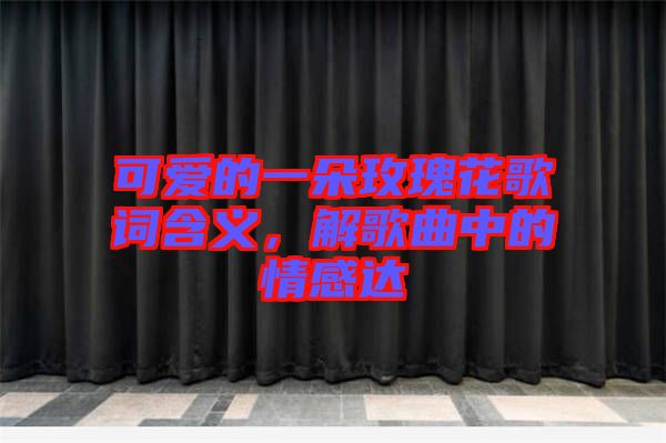 可愛的一朵玫瑰花歌詞含義，解歌曲中的情感達