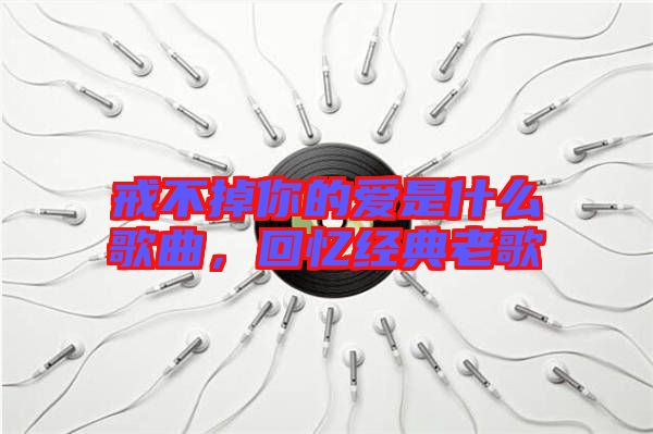 戒不掉你的愛是什么歌曲，回憶經典老歌