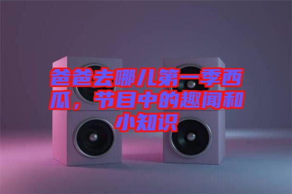 爸爸去哪兒第一季西瓜，節目中的趣聞和小知識