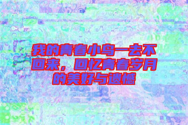 我的青春小鳥一去不回來，回憶青春歲月的美好與遺憾