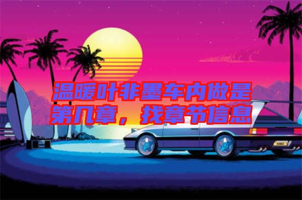 溫暖葉非墨車內做是第幾章，找章節信息