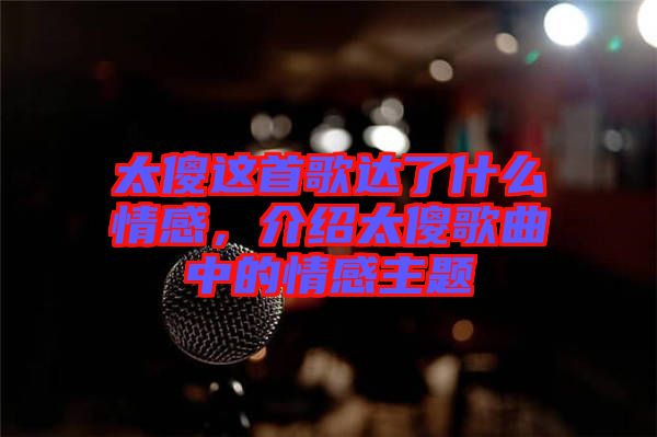 太傻這首歌達了什么情感，介紹太傻歌曲中的情感主題