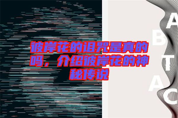 彼岸花的詛咒是真的嗎，介紹彼岸花的神秘傳說