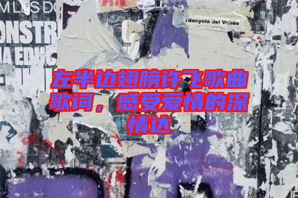 左半邊翅膀許飛歌曲歌詞，感受愛情的深情達