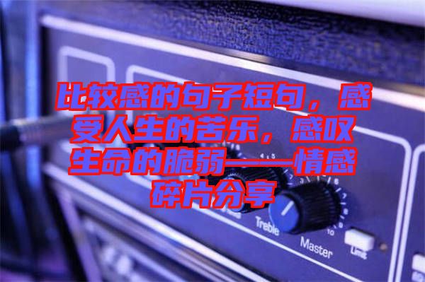 比較感的句子短句，感受人生的苦樂(lè)，感嘆生命的脆弱——情感碎片分享