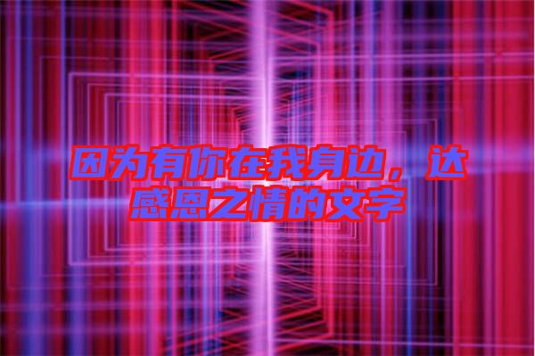 因為有你在我身邊，達感恩之情的文字