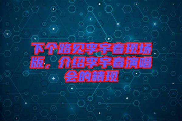 下個路見李宇春現場版，介紹李宇春演唱會的精現