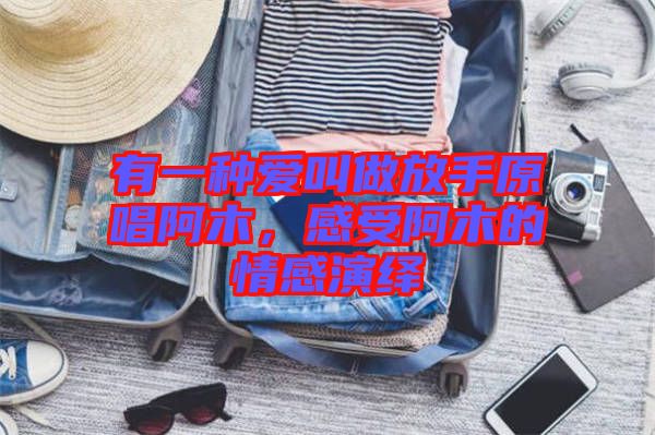 有一種愛叫做放手原唱阿木，感受阿木的情感演繹
