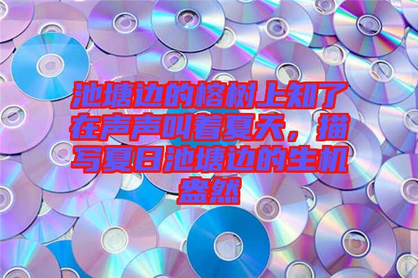 池塘邊的榕樹上知了在聲聲叫著夏天，描寫夏日池塘邊的生機盎然