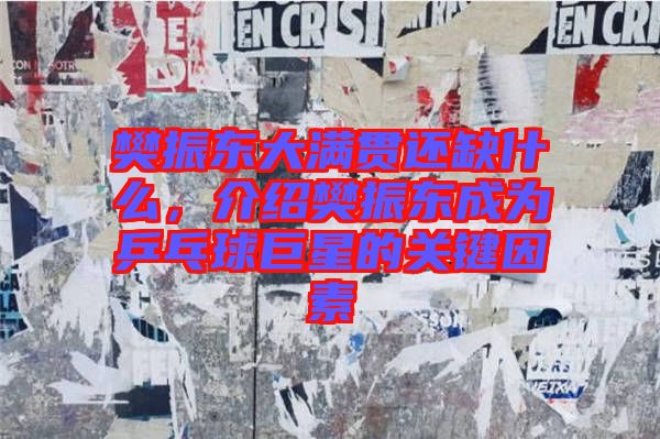 樊振東大滿貫還缺什么，介紹樊振東成為乒乓球巨星的關鍵因素
