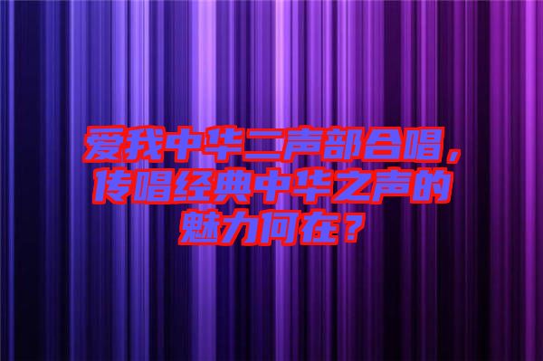 愛我中華二聲部合唱，傳唱經典中華之聲的魅力何在？