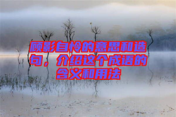 顧影自憐的意思和造句，介紹這個成語的含義和用法