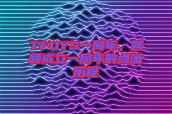 TFOYS一周年，回顧成立一周年的點滴歷程