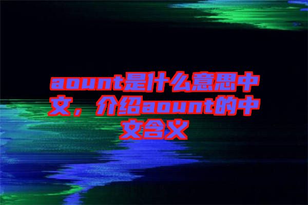 aount是什么意思中文，介紹aount的中文含義