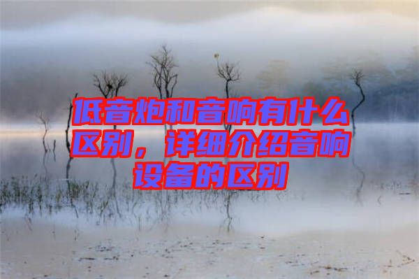 低音炮和音響有什么區(qū)別，詳細(xì)介紹音響設(shè)備的區(qū)別