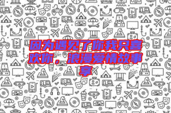 因為遇見了你我只喜歡你，浪漫愛情故事享