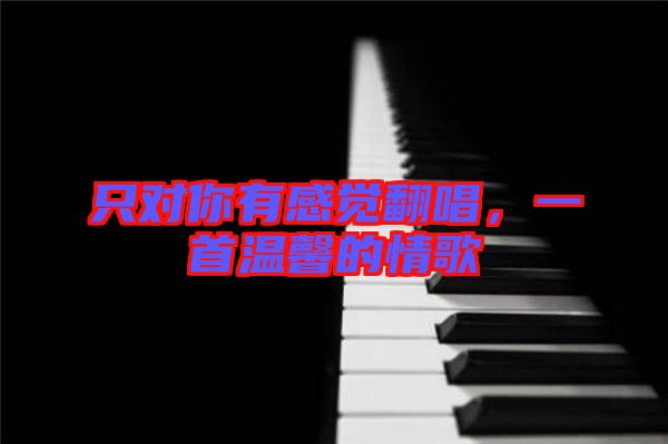 只對你有感覺翻唱，一首溫馨的情歌