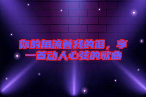 你的角流著我的淚，享一首動人心弦的歌曲