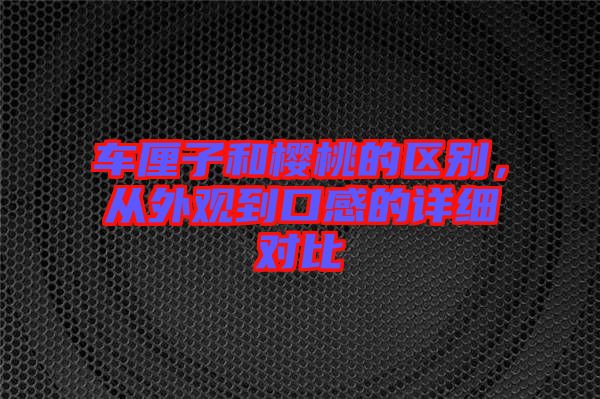 車厘子和櫻桃的區別，從外觀到口感的詳細對比
