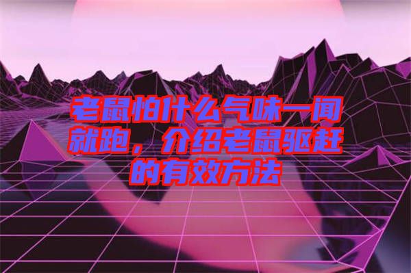 老鼠怕什么氣味一聞就跑，介紹老鼠驅趕的有效方法