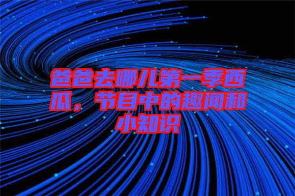 爸爸去哪兒第一季西瓜，節目中的趣聞和小知識