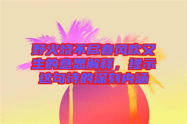 野火燒不盡春風吹又生的意思解釋，提示這句詩的深刻內涵