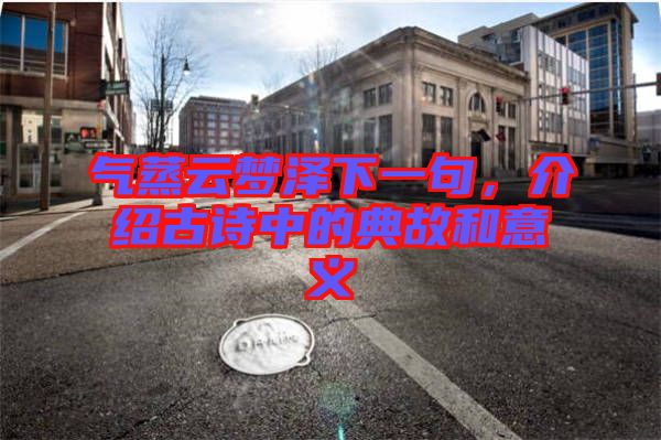 氣蒸云夢澤下一句，介紹古詩中的典故和意義